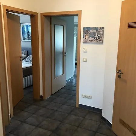 Strandmuschel 青斯特